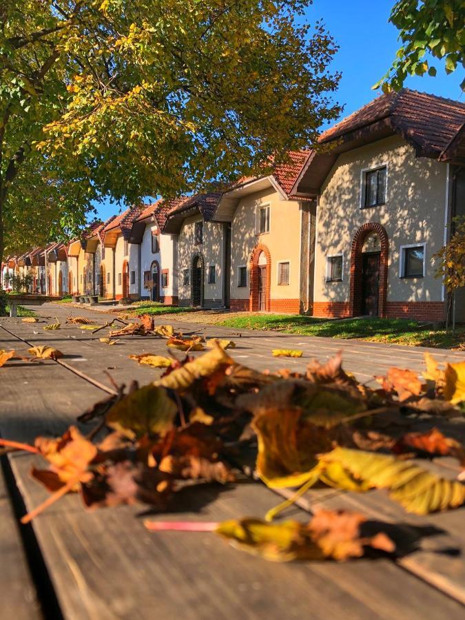 Cejkovsky Dvorek Cejkovice (Hodonin) Exterior foto